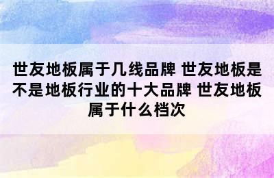 世友地板属于几线品牌 世友地板是不是地板行业的十大品牌 世友地板属于什么档次